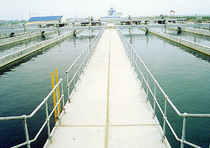 Heavy metal wastewater treatment